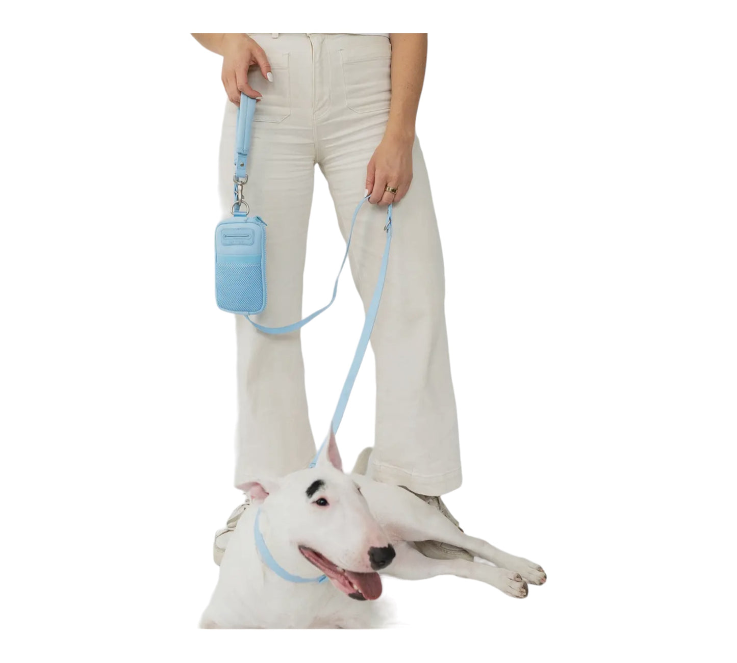 Springer - Borsa da Passeggio