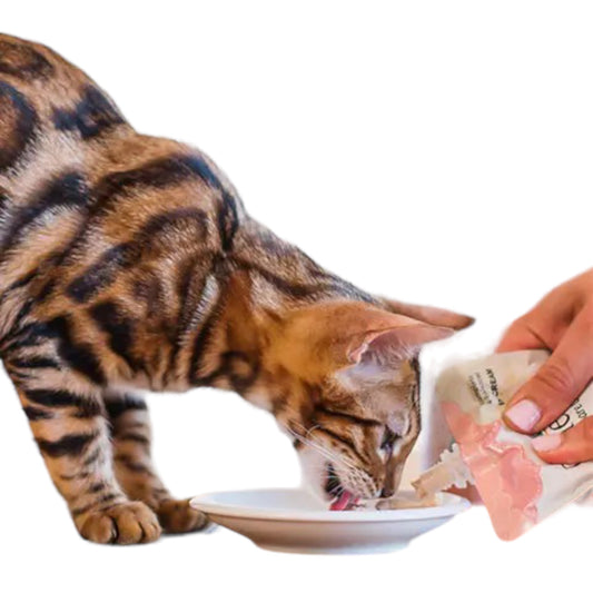 Alimento umido per gatti cuccioli – Kitten Pollo in crema busta con tappo 150 g