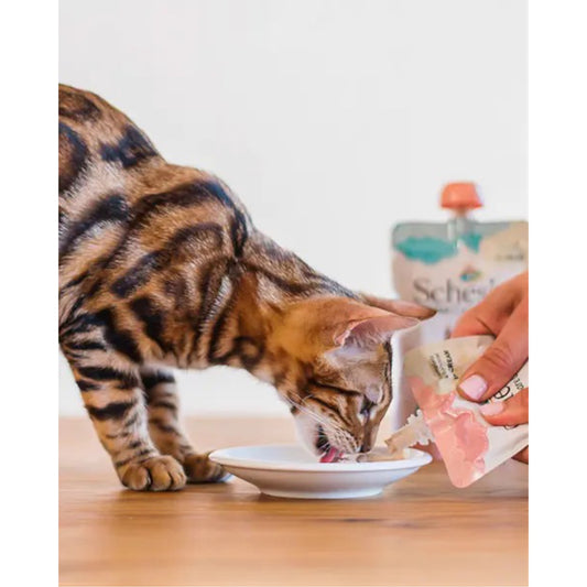 Alimento umido per gatti cuccioli – Kitten Tonnetto in crema busta con tappo 150 g