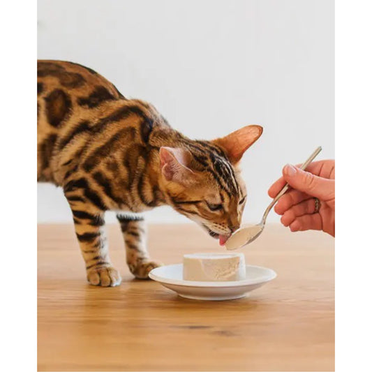 Alimento umido per gatti cuccioli – Kitten Tonnetto in mousse lattina 85 g