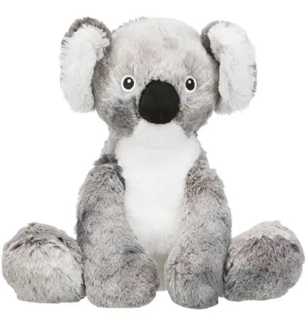 Koala in peluche