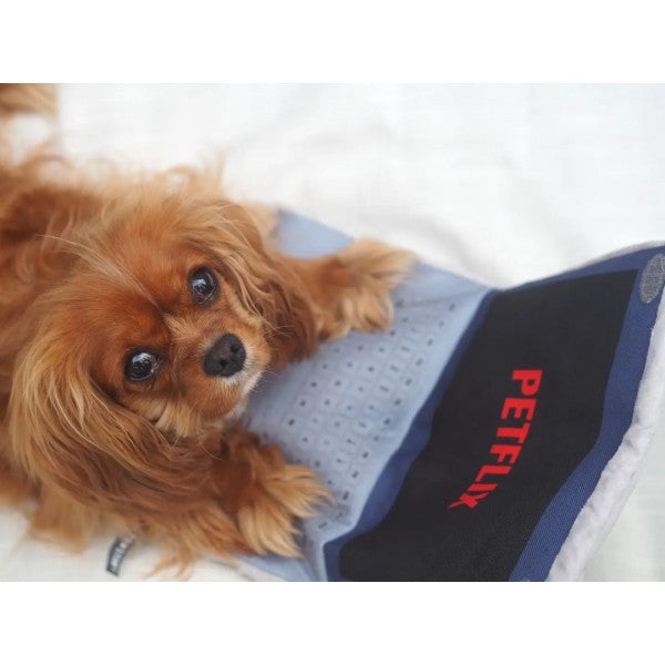 PS - GIOCO PER CANI PETFLIX - NOTEBOOK