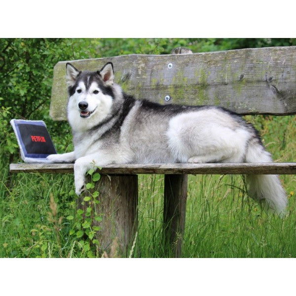 PS - GIOCO PER CANI PETFLIX - NOTEBOOK