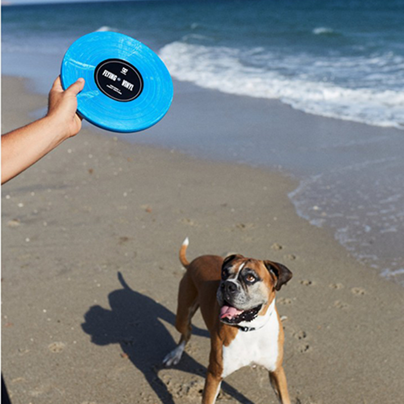 BLUES VYNIL FRISBEE