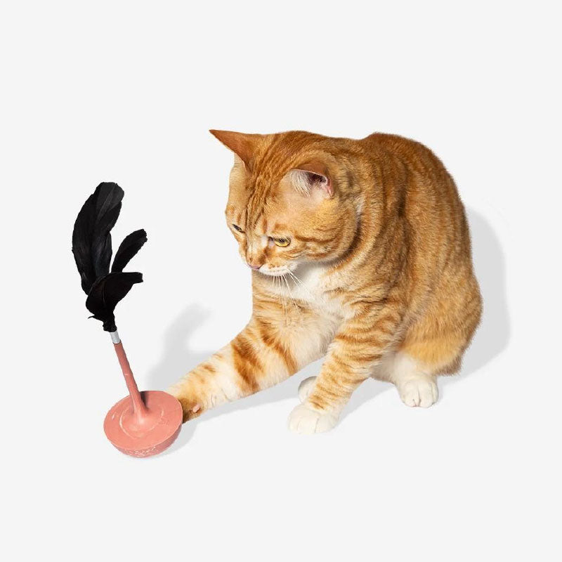 Teaser Cat Toy CITRUS