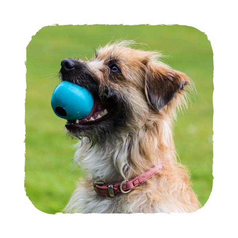 Natural Rubber Treat Ball