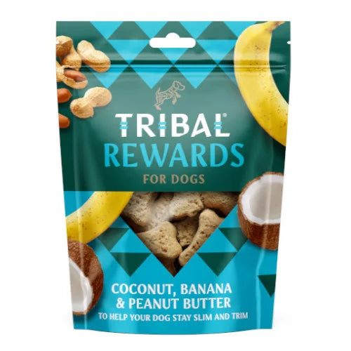 Tribal biscotti al cocco, banana e burro di arachidi