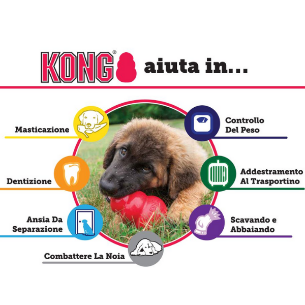 KONG® SENIOR