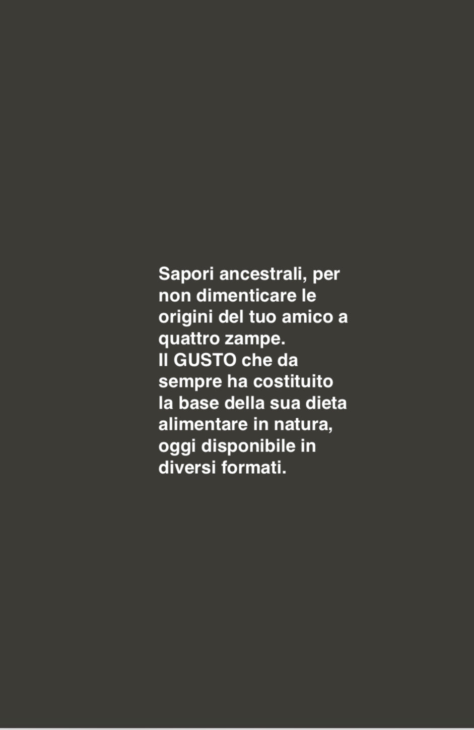 GUSTO Strisce di carne essiccata di cervo