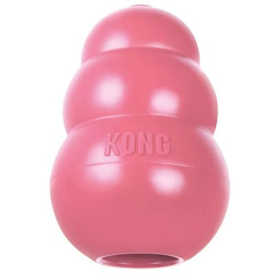 KONG Puppy