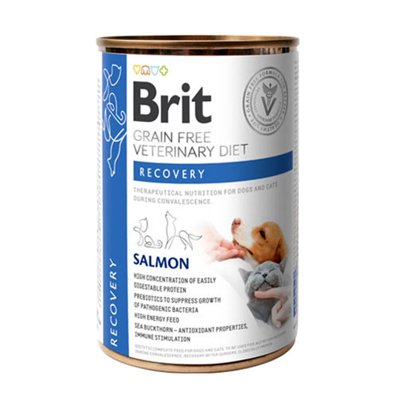 BRIT VETERINARY DIET CANE E GATTO RECOVERY UMIDO